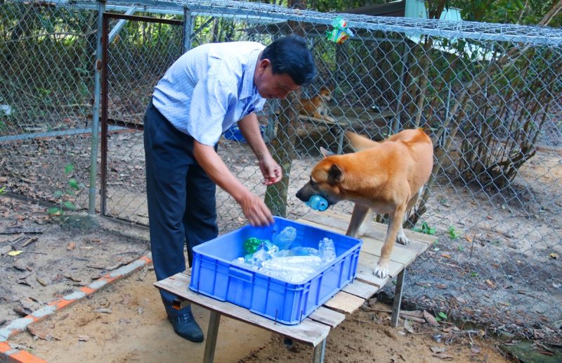 Trung tâm bảo tồn Chó Xoáy Phú Quốc