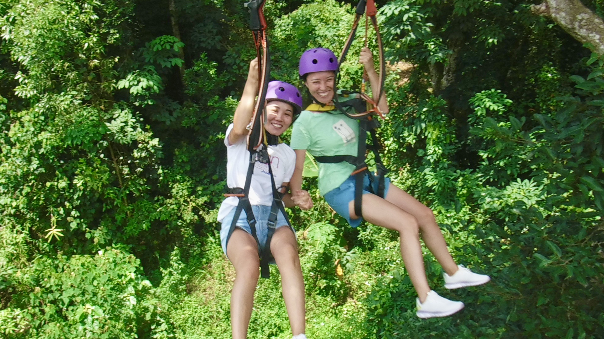 Công viên thám hiểm Kong Forest