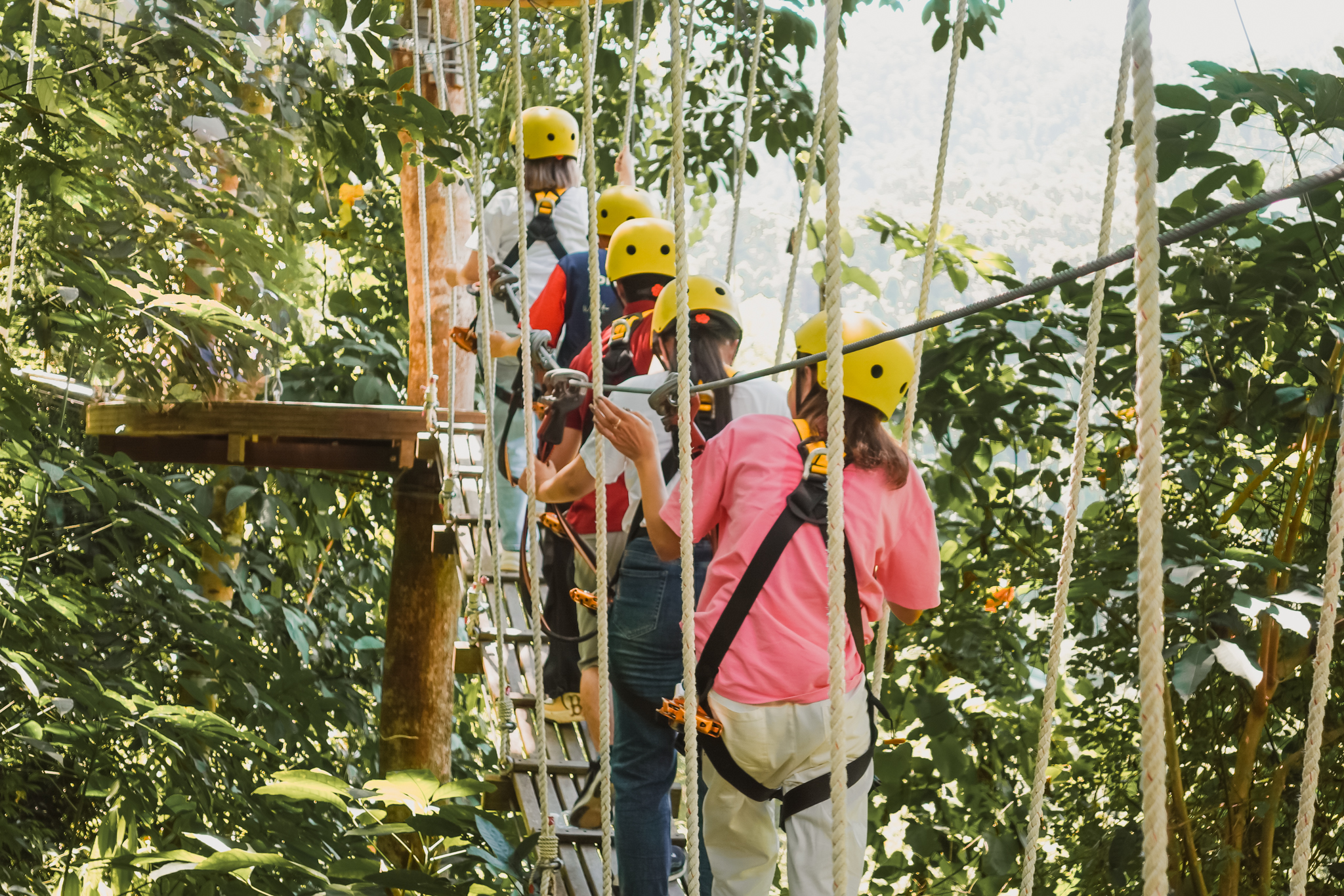 Công viên thám hiểm Kong Forest