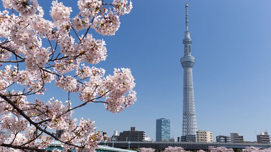 Du Lịch Nhật Bản 5 Ngày 4 Đêm: Narita - Tokyo - Yamanashi (2025)