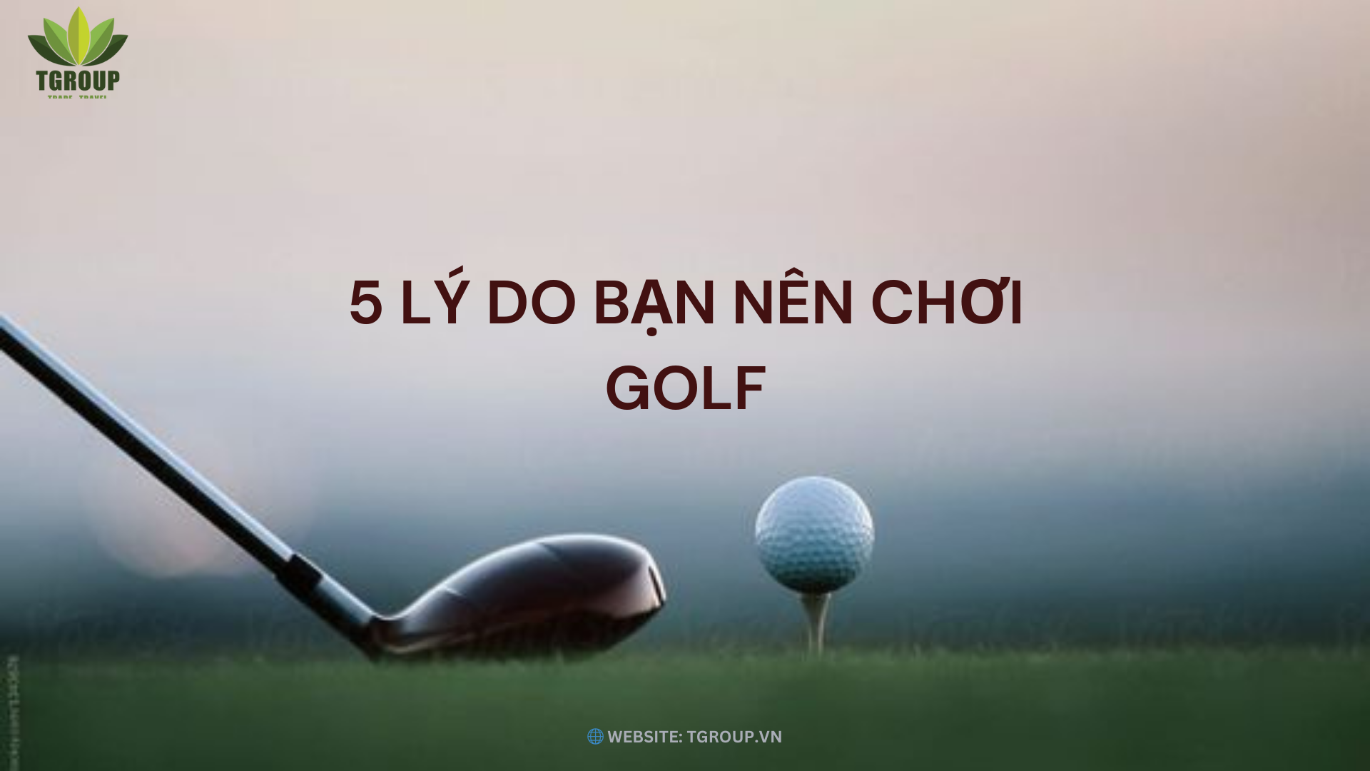 Tại Sao Nên Chơi Golf? 5 Lợi Ích Đáng Kinh Ngạc