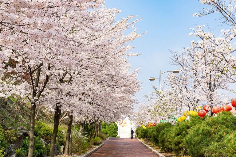 Danh sách các địa điểm lý tưởng ở Seoul mà bạn nên ghé thăm vào mùa xuân