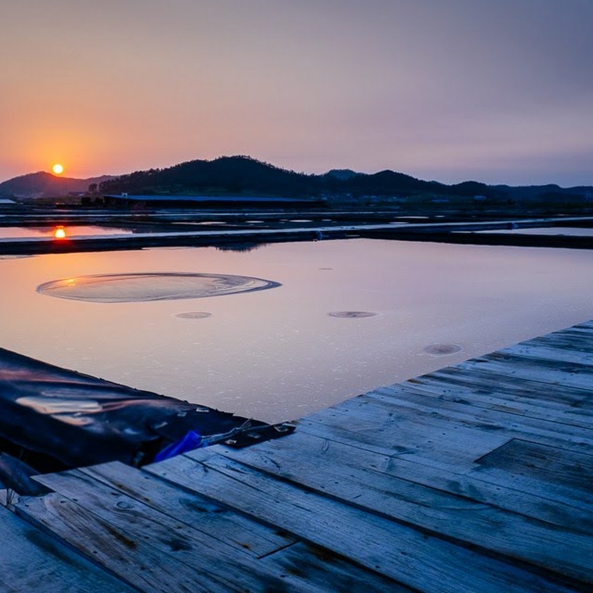 Tham quan những cánh đồng muối Jeungdo ở Hàn Quốc