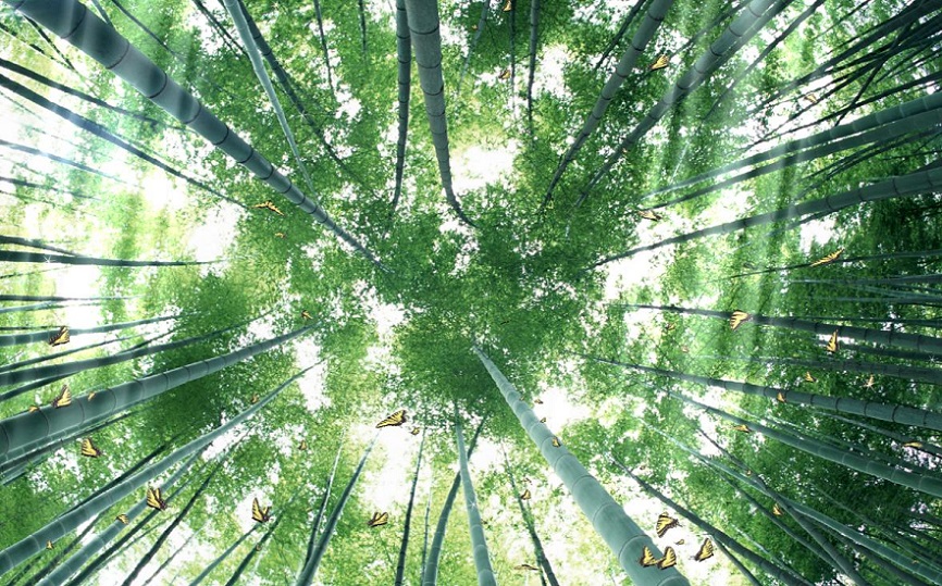 Du lịch hòa mình vào thiên nhiên tại Hàn Quốc (Phần 1) Du lịch hòa mình vào thiên nhiên tại Hàn Quốc (Phần 1)