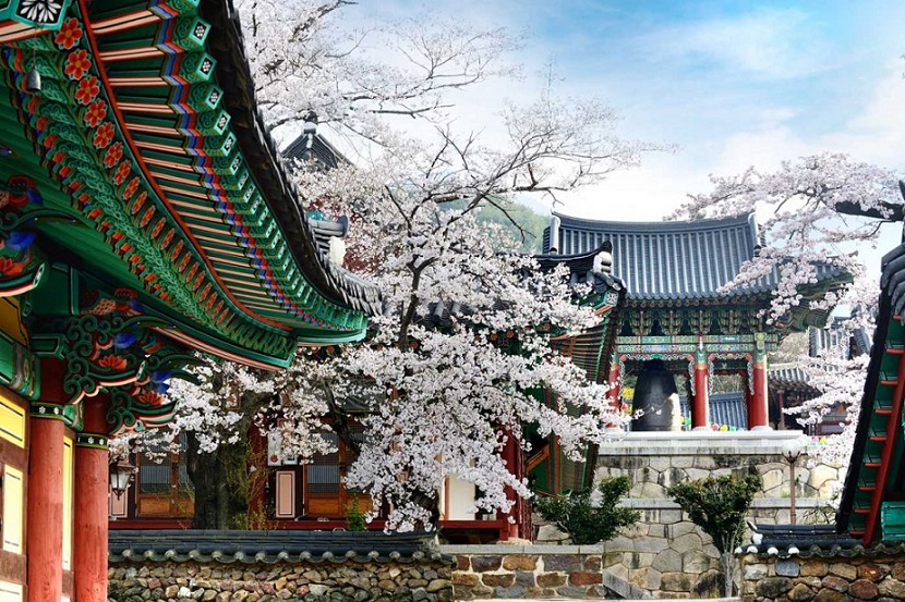 Jeollanam - Chốn yên bình của Hàn Quốc