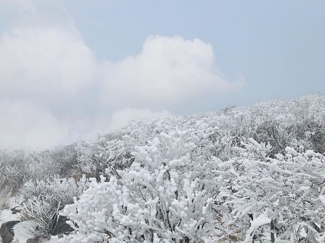 Mùa đông ở núi Taebaeksan - Bức họa hoàn mĩ của thiên nhiên (Phần II)